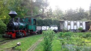 Nr. 001 Krauss 7790 mit Heeresfeldbahnwagen